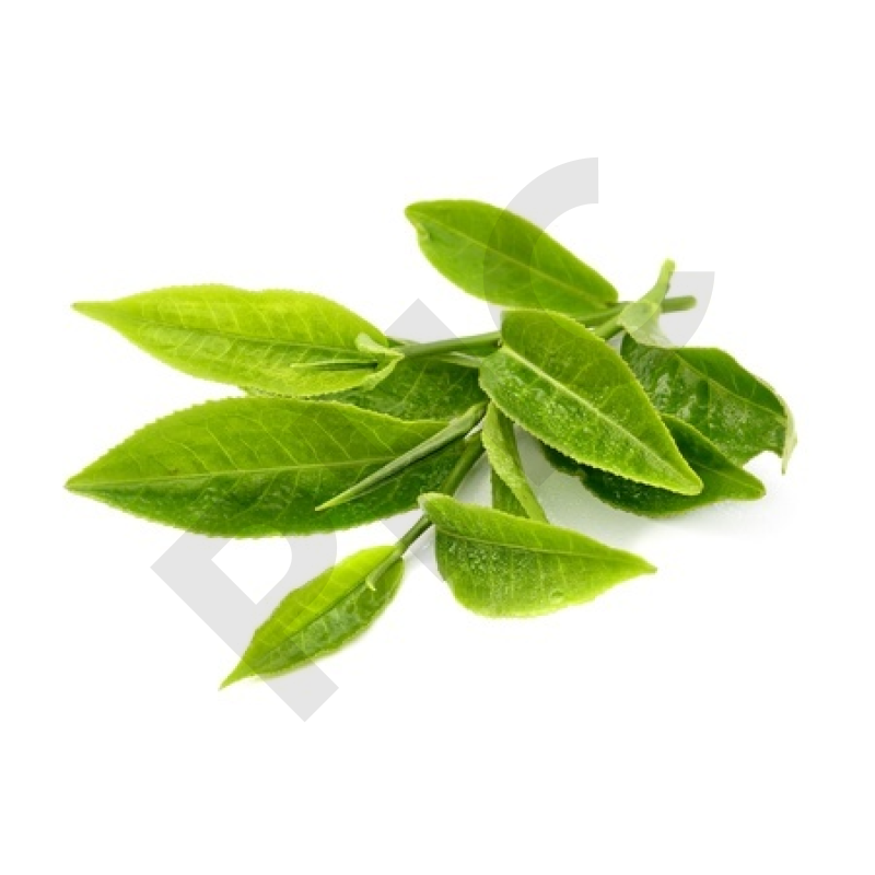 THE VERT (Feuille entière)
