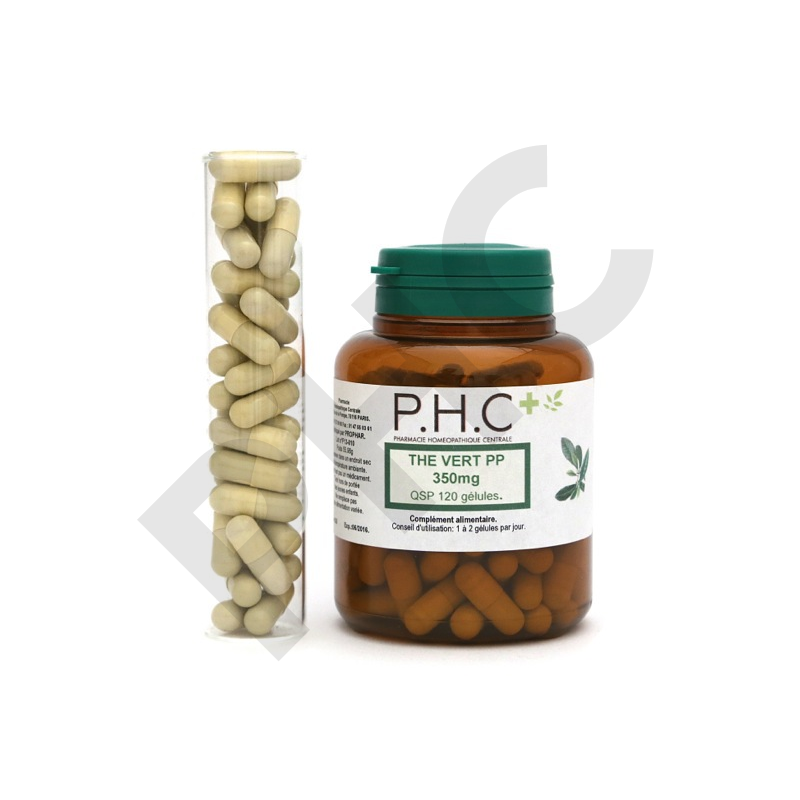 Thé vert PHC perte de poids