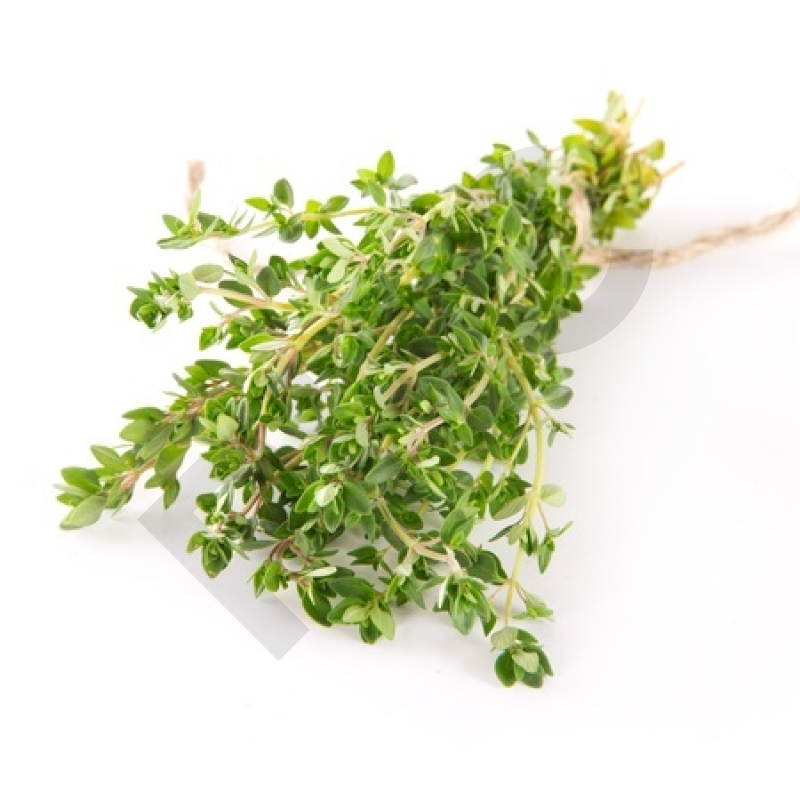 THYM EXTRA (Feuille entière)