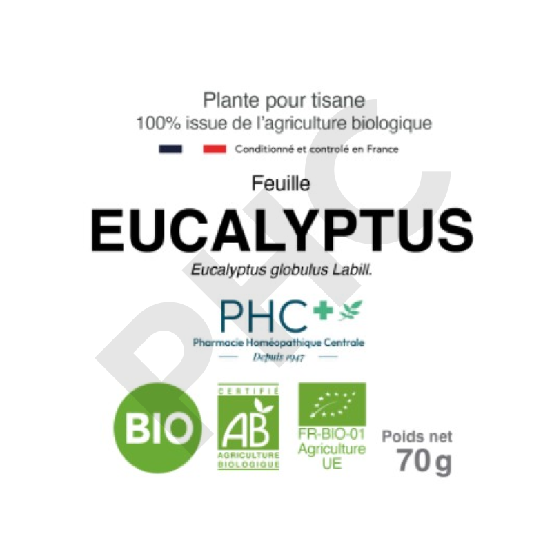 Tisane Eucalyptus bio feuilles - Eucalyptus globulus