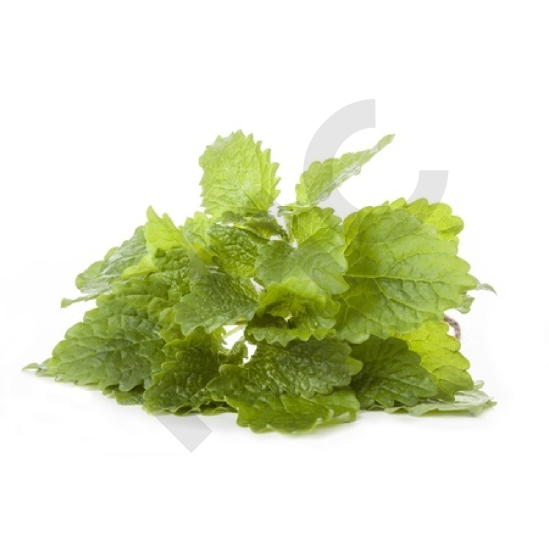Tisane Melisse bio feuilles - Melissa officinalis - Herboristerie PHC
