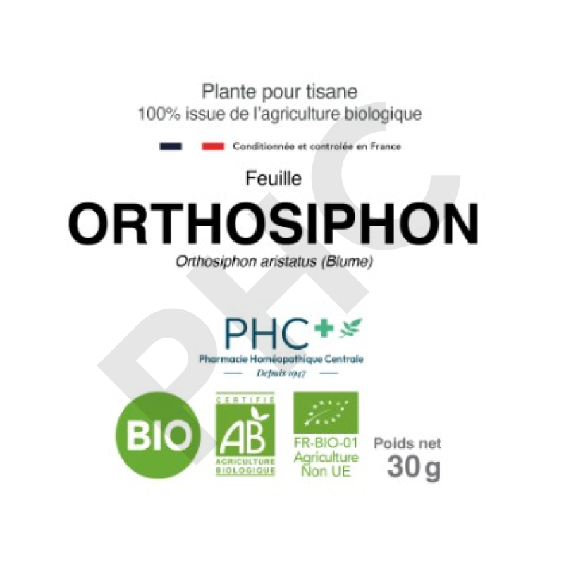 Tisane Orthosiphon bio feuilles