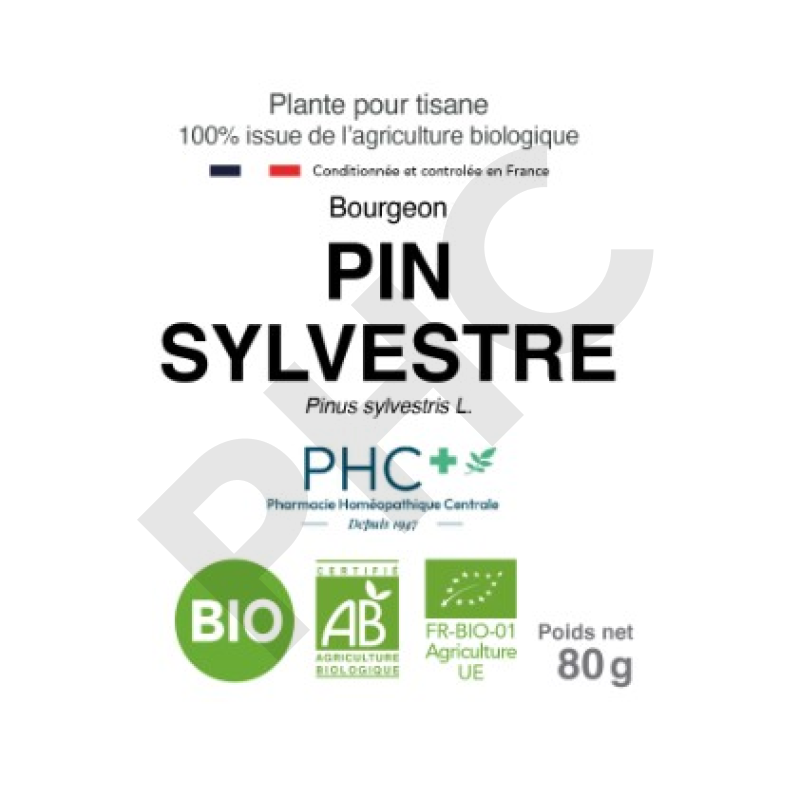 Tisane Pin sylvestre bio bourgeons