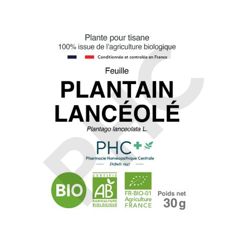 Tisane Plantain lancéolé bio feuilles - Plantango lanceolata - Herboristerie PHC