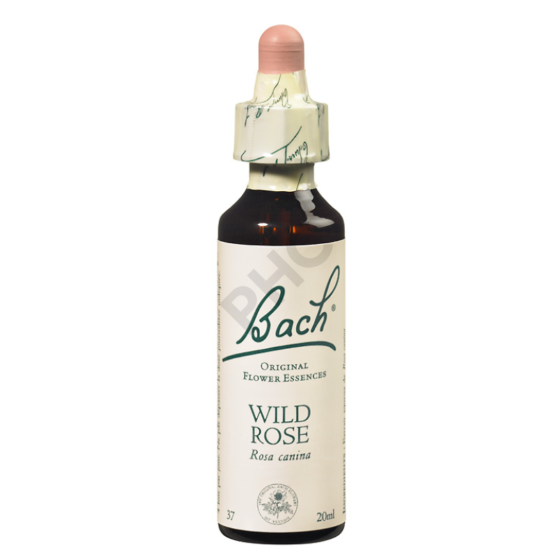 WILD ROSE- Fleurs de Bach N°37, 20 ml