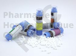 Abelmoschus homéopathie tube granules - pharmacie PHC 