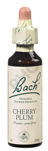 CHERRY PLUM - Fleurs de Bach N°06, 20 ml