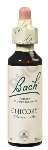 CHICORY - Fleurs de Bach N°08, 20 ml