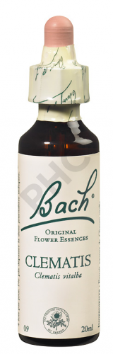CLEMATIS - Fleurs de Bach N°09, 20 ml