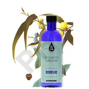 Eau florale d'eucalyptus globuleux bio - eau flora