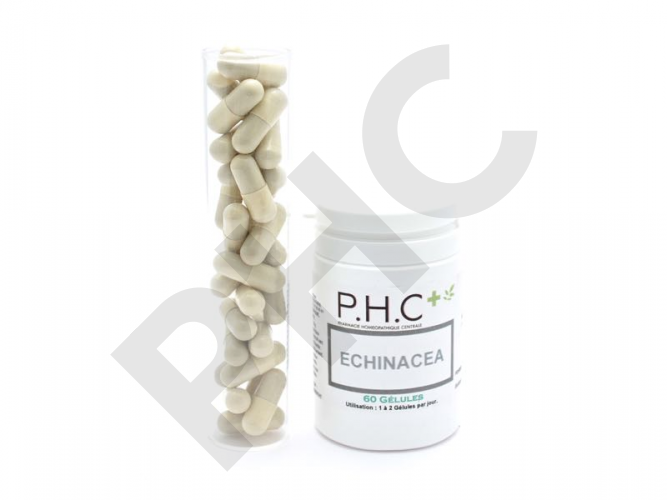 echinacea PHC rhume grippe