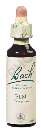 ELM - Fleurs de Bach N°11, 20 ml