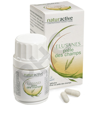 ELUSANES PRELE DES CHAMPS