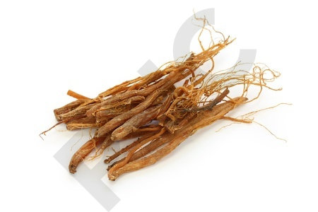 Ginseng Extrait Plantes Fraîches - EPS