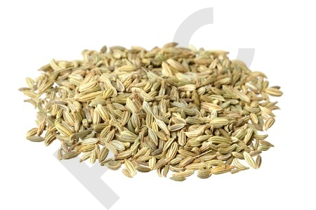 FENOUIL en vrac (Foeniculum officinale)