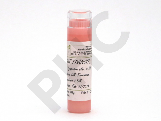FORMULE PHC HOMEO - GASTRO INTESTINALE