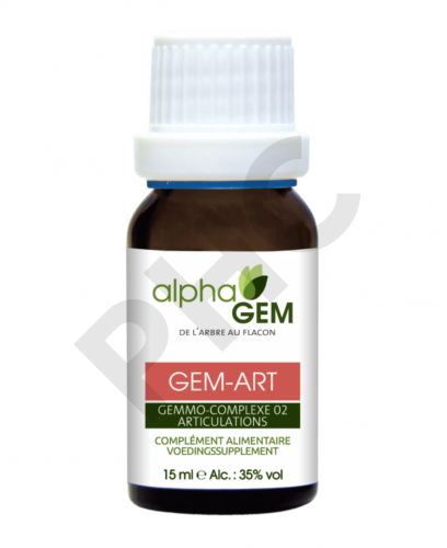 GEM-ART Complexe n°2 BIO - AlphaGem 15ml