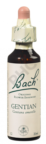 GENTIAN - Fleurs de Bach N°12, 20 ml