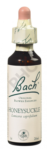 HONEYSUCKLE - Fleurs de Bach N°16, 20 ml