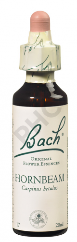 HORNBEAM - Fleurs de Bach N°17, 20 ml