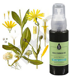 Arnica huile végétale bio