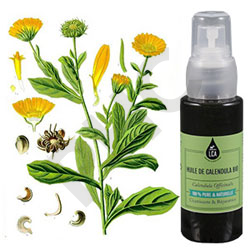 Calendula huile végétale bio