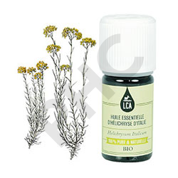 Hélichryse d'Italie - immortelle bio huile essentielle bio