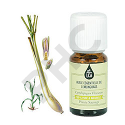 Lemongrass huile essentielle