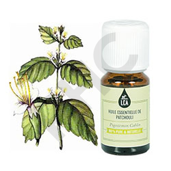 Patchouli huile essentielle