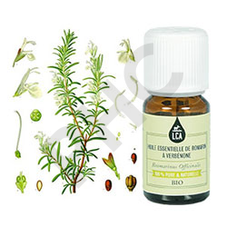 Romarin à verbénone bio huile essentielle bio