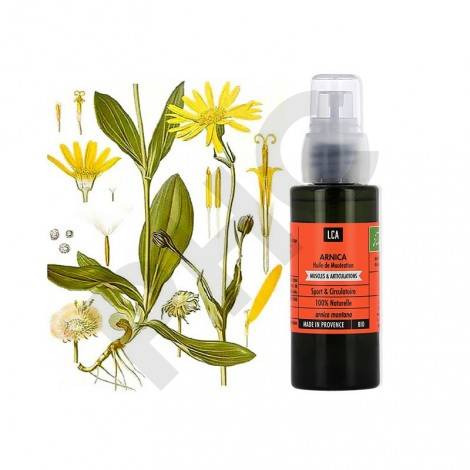 Mélange huile essentielle de gaulthérie couchée avec huile végétale bio  d'arnica