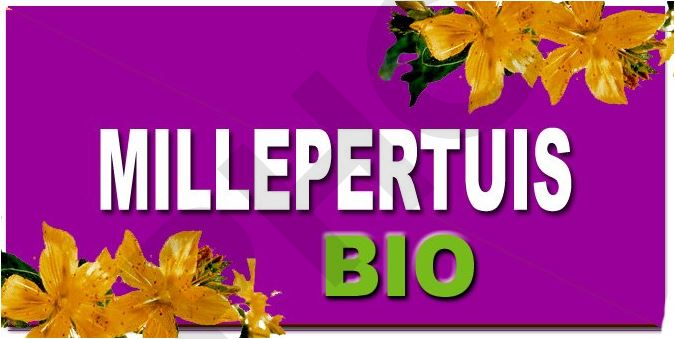 Millepertuis Bio 120 gélules