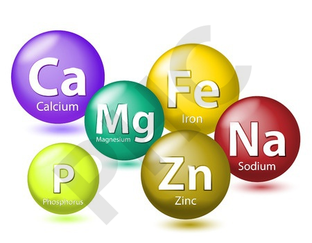 Oligoélément calcium croissance, dents, os chez l'