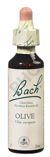 OLIVE - Fleurs de Bach N°23, 20 ml