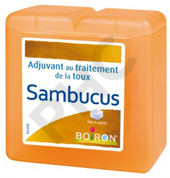 PATES SAMBUCUS, 70g boite 70 pâtes