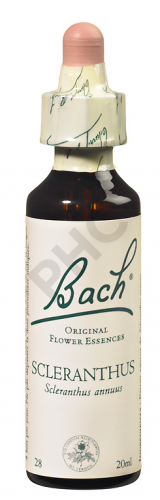 SCLERANTHUS - Fleurs de Bach N°28, 20 ml