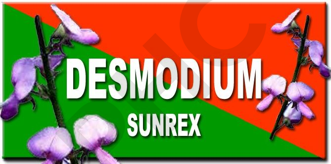 SUN REX DESMODIUM LIQUIDE