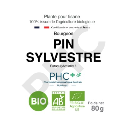 Tisane Pin sylvestre bio bourgeons - Pinus sylvestris - Herboristerie PHC