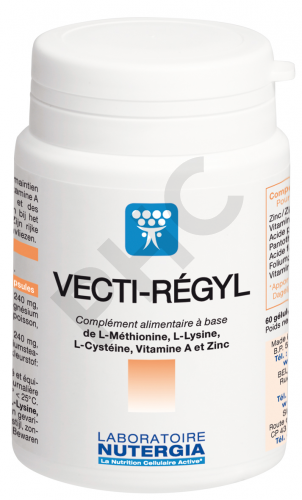 VECTIRÉGYL