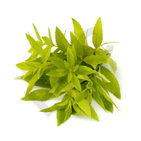 VERVEINE  ODORANTE (Feuille odorante) 25 g