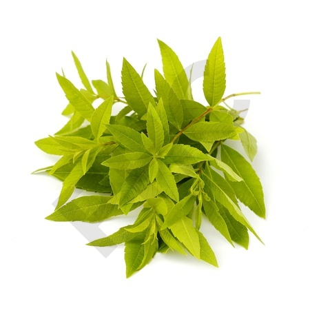 VERVEINE  ODORANTE (Feuille odorante) 40g