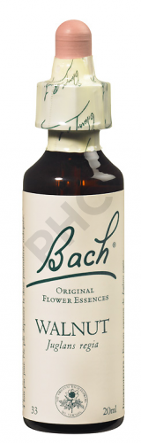 WALNUT - Fleurs de Bach N°33, 20 ml