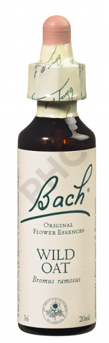 WILD OAT - Fleurs de Bach N°36, 20 ml