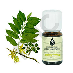 Ylang ylang complète huile essentielle