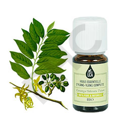 Ylang ylang complète huile essentielle lca